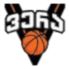 https://img.gzzywspx.com/img/basketball/team/ab83d99c4b224434a81d14fc9e1b5949.png